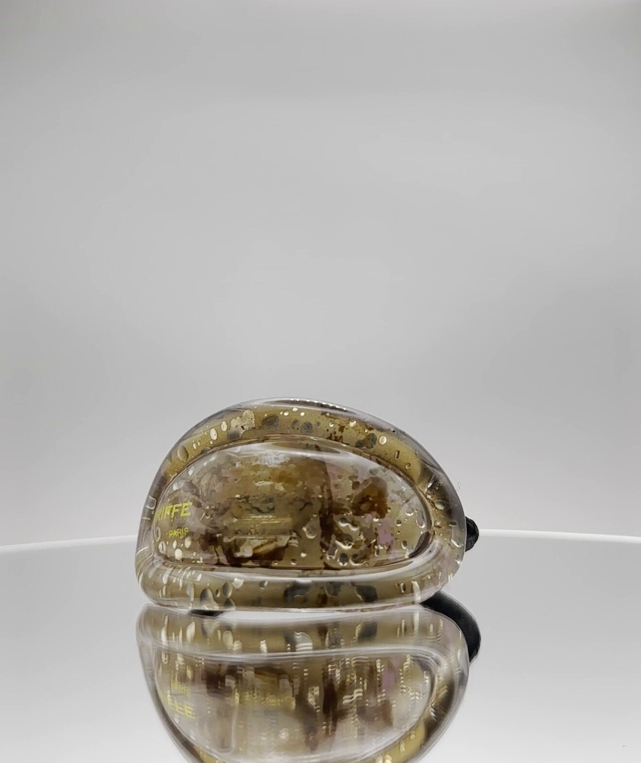 Q Cheval Elastique Fleur de Champagne